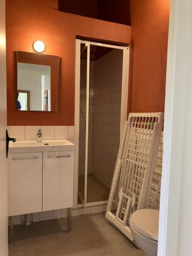 une salle de bain avec toilettes, lavabo et miroir dans l'établissement Maison une chambre Domaine Du Lac avec bain nordique, à Montendre