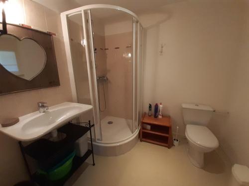 une salle de bain avec une douche, un lavabo et des toilettes dans l'établissement Studio cosy proche centre thermal avec mezzanine et wifi - FR-1-512-95, à Brides-les-Bains