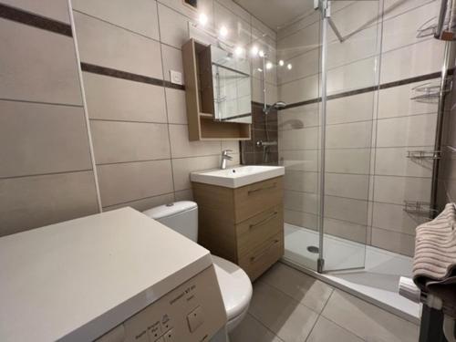 une salle de bain avec toilettes, lavabo et douche dans l'établissement Charmant T2 au Centre de Brides-les-Bains avec Balcon, Parking et WIFI - FR-1-512-194, à Brides-les-Bains