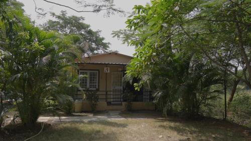 a small yellow house with trees in front of it at BimalFarm at Koroli Hills in Igatpuri