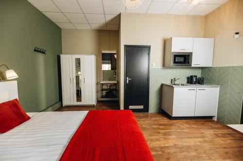 Η κουζίνα ή μικρή κουζίνα στο Hotel Renesse