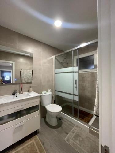 ein Badezimmer mit Toilette, Dusche und Waschbecken in der Unterkunft La Casina de San Lorenzo in Gijón