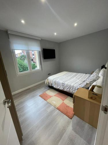 ein Schlafzimmer mit einem Bett und einem Fernseher darin in der Unterkunft La Casina de San Lorenzo in Gijón