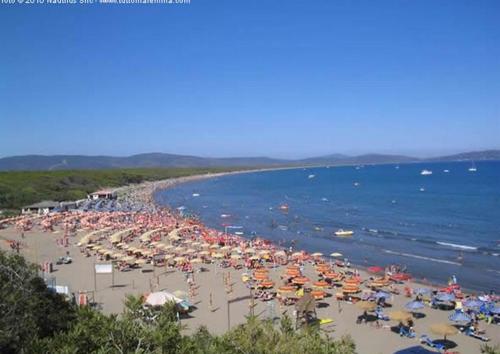 Φωτογραφία από το άλμπουμ του Appartamento nel "Residence Giannella" σε Giannella