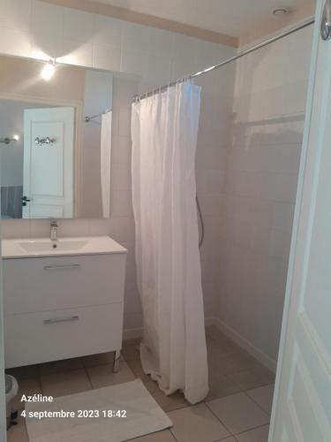 une salle de bain avec un rideau de douche et un lavabo dans l'établissement La Maisonnette du Meslay, à Fyé