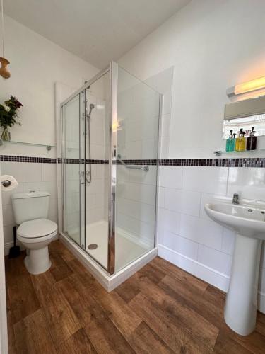 a bathroom with a shower and a toilet and a sink at St George's Guest House in York