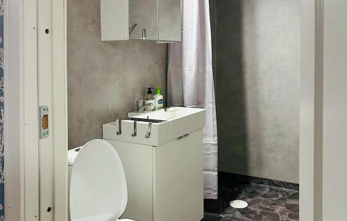 a bathroom with a white toilet and a sink at 1 Bedroom Awesome Home In Gislaved in Gislaved
