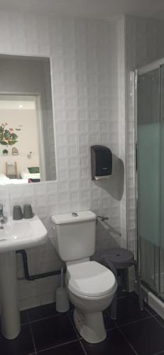 a white bathroom with a toilet and a sink at Hotel de la Place in Loyettes