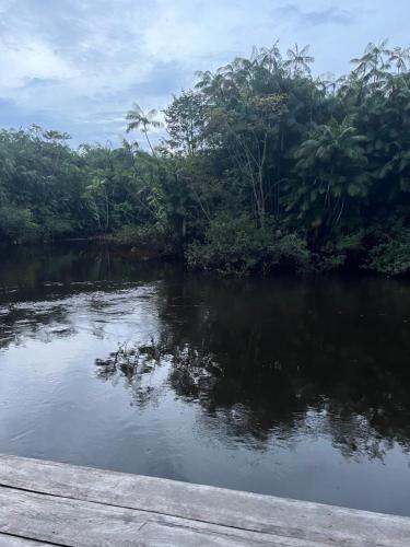 a body of water in front of a forest at Chalé Encantos do Una in Morros