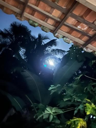a view from under a building with palm trees at Chalé Encantos do Una in Morros