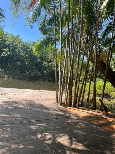a walkway lined with palm trees next to a river at Chalé Encantos do Una in Morros