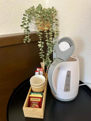a table with a toilet and a plant on it at Hotel Baslertor in Luzern