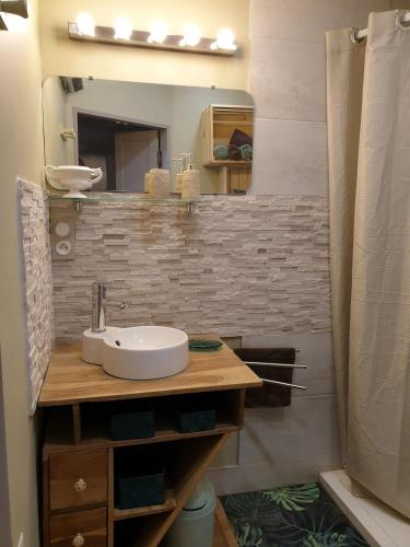 une salle de bain avec un lavabo et un miroir dans l'établissement 10 min de Cortè, 5 couchages,, à Venaco