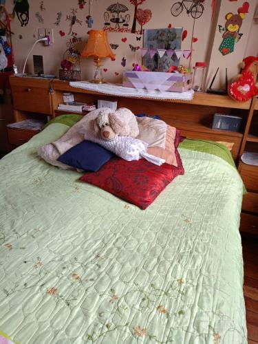 Llit o llits en una habitació de Acogedora casa céntrica