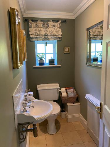a bathroom with a toilet and a sink at Hedgerows House New Forest in Ringwood