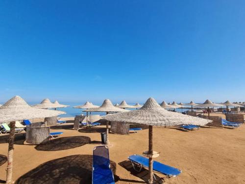 Spiaggia vicina o nei dintorni dell'appartamento