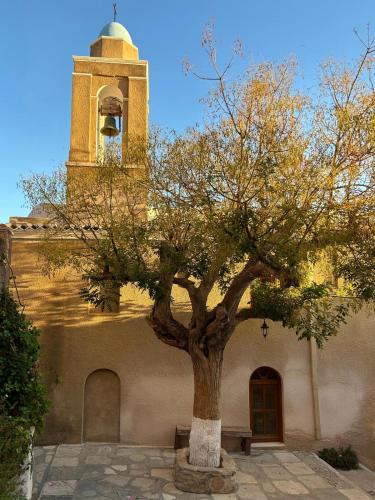 a tree in front of a building with a bell tower at Delfini Suites in Ano Syros