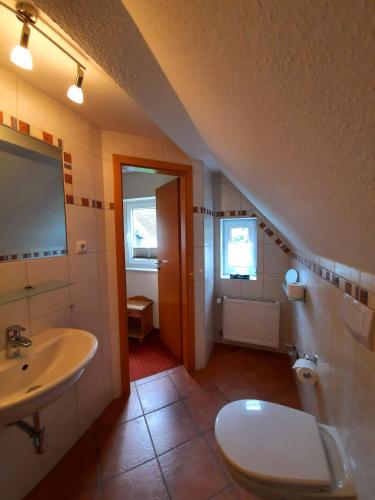 a bathroom with a sink and a toilet at Ferienwohnungen Schäferhaus, incl MeineCardPlus in Willingen