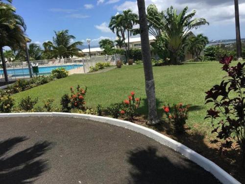 a swimming pool next to a park with palm trees at Superbe studio avec Piscine, au coeur de la Marina! Village Soleil ! Proche Aéroport & Ferry in Le Gosier