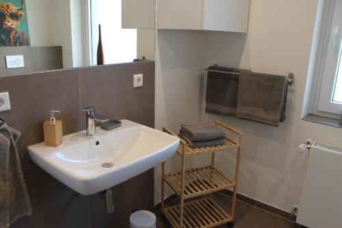 a bathroom with a white sink and a mirror at Ferienwohnung Walgernheide in Warendorf