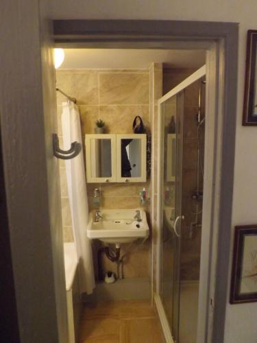 a small bathroom with a sink and a shower at peaceholm at cromer in Cromer
