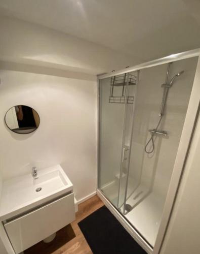 une salle de bain avec une douche, un lavabo et un miroir dans l'établissement Les Rotins - Appartements proches du centre-ville, à Reims