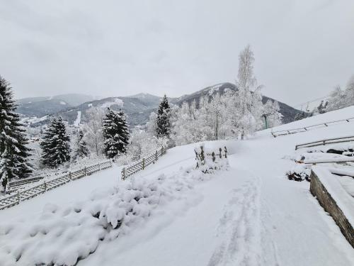 a group of people walking down a snow covered road at Chalet Ski in by Globalimmoservice in Bad Kleinkirchheim
