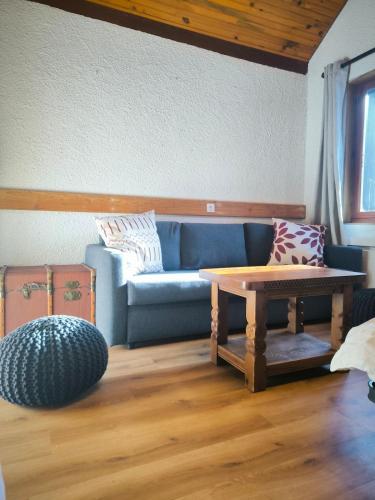 Χώρος καθιστικού στο Beau chalet 15p - Abriès - Parc naturel du Queyras