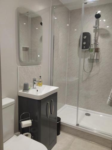 a bathroom with a shower and a sink and a toilet at East Claremont Guest House in Edinburgh