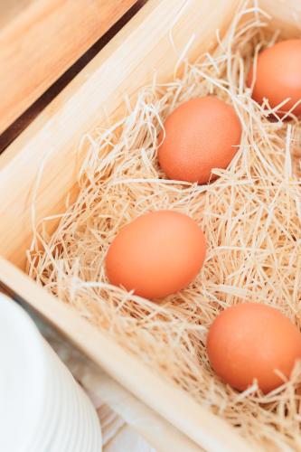 three eggs are sitting in a nesting box at Hotel Centrale Miramare in Rimini
