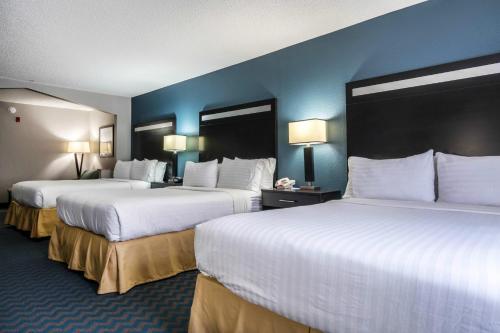 two beds in a hotel room with blue walls at Holiday Inn Express & Suites Roanoke Rapids by IHG in Roanoke Rapids