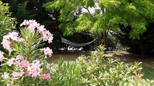 - un hamac au milieu d'un jardin avec des fleurs roses dans l'établissement Les acacias, à Gréoux-les-Bains