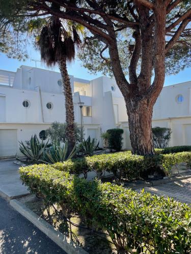 a tree and bushes in front of a building at MARINA Belle vue avec appontement in Le Grau-du-Roi