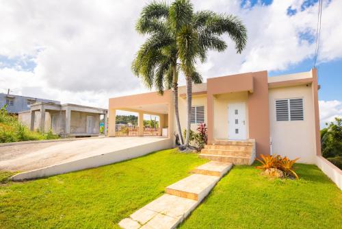 a house with a palm tree in front of it at Arenales Guest House in Isabela