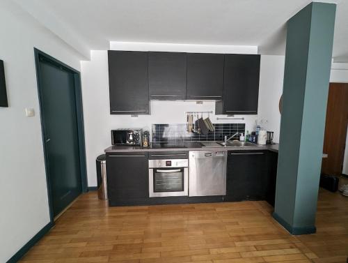 une cuisine avec des armoires noires et des appareils en acier inoxydable dans l'établissement Beautiful 3-room apartment with Cathedral view, à Strasbourg