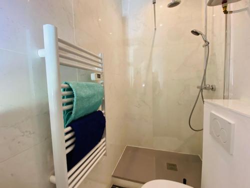 une salle de bain avec douche et porte-serviettes à côté des toilettes dans l'établissement Studio vieux port 1-1, à Marseille
