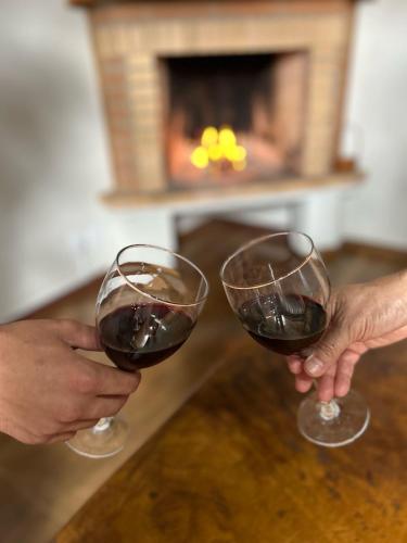 two people holding glasses of wine in front of a fireplace at Recanto das Tirivas in Monte Verde