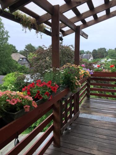 a wooden deck with flowers and a pergola at Monikas in Lapmežciems