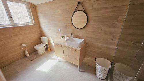 une salle de bain avec un lavabo, des toilettes et un miroir dans l'établissement Belle maison rénovée au centre de Agen sacré-cœur, à Agen