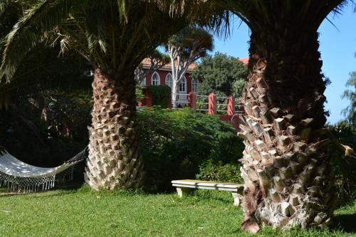 two palm trees with a hammock in a park at Hotel Rural Las Longueras in Agaete