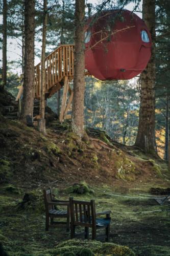 Zahrada ubytování the tree tent highland hangout