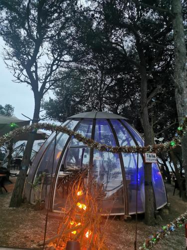 Jardí fora de Tiny fitness loft