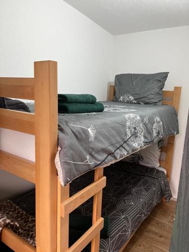 a bedroom with a bunk bed with a ladder at Krupajsko vrelo in Milanovac