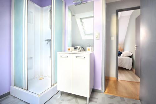 une salle de bain avec une douche, un lavabo et un miroir dans l'établissement Louis Philippe - Second Souffle - Cherbourg, à Cherbourg en Cotentin