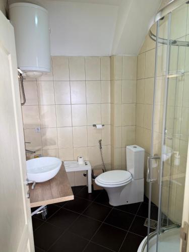 a bathroom with a toilet and a sink and a shower at Aleksei Apartmani in Belgrade