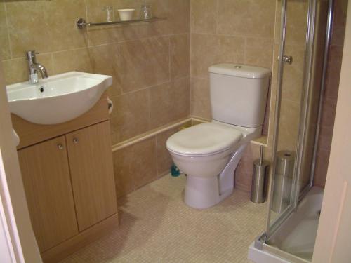 a bathroom with a toilet and a sink and a shower at Yallands Farmhouse in Taunton