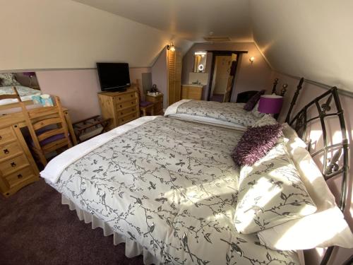 a bedroom with a large bed and a television at Yallands Farmhouse in Taunton