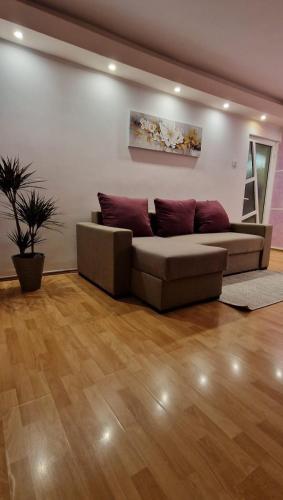 a couch in a living room with a wooden floor at Apartament C5 in Tulcea