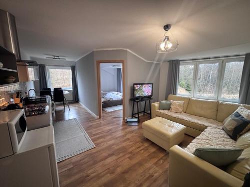 Televízia a/alebo spoločenská miestnosť v ubytovaní Apartmán 11 Nová Lesná