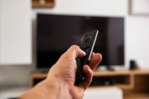 a person holding a remote control in front of a television at Gemütlich*Stylisch*Netflix*Blick ins Grüne* in Lindau